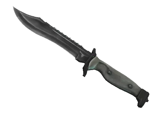 CS2 Bowie Knife