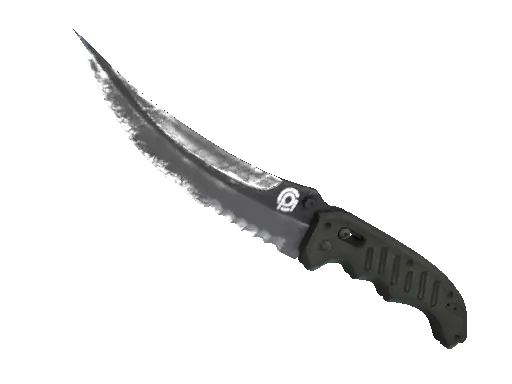 CS2 Flip Knife