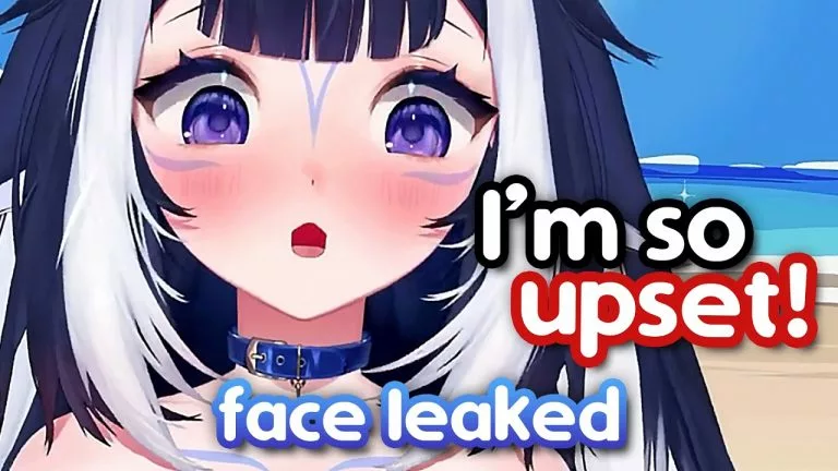 Video: Lily calls out VTubers not censoring her face after meeting her IRL